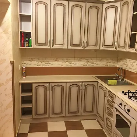 Apartman On Kostyushka 20